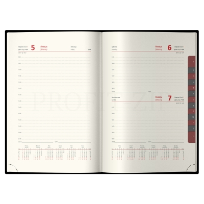 Ежедневник датированный 2024г., А5, 184л., Delucci, Фактурная кожа, зол. срез, коричневый
