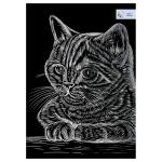 GA4_48278-GA4_48278069201_1