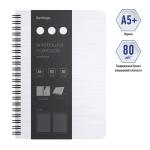 WNt_A5004-WNt_A5004063316_1