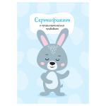 СП_54102-СП_54102062435_1