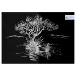 GA4_49921-GA4_49921069145_1