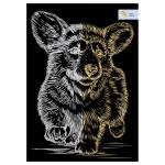 GA4_48269-GA4_48269069192_1