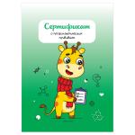 СП_54104-СП_54104062437_1