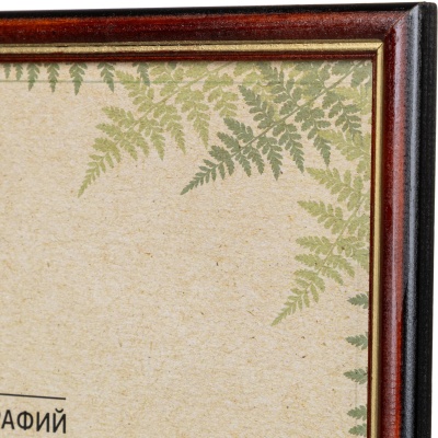 142914-142914076960_3