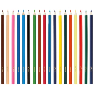 CP_41021-CP_41021059824_3