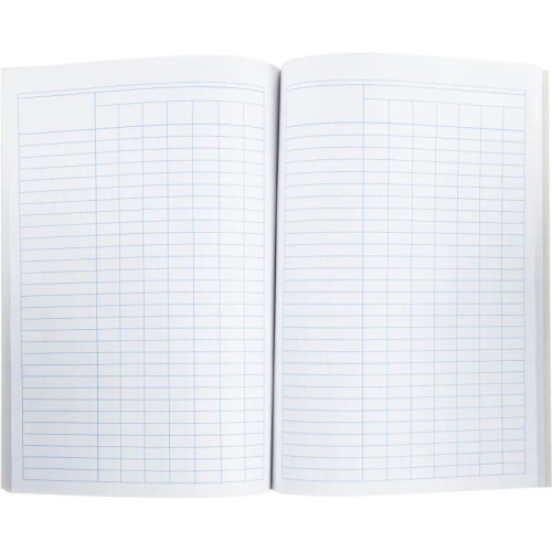 Книга учета 96 листов А4 пустографка на скрепке блок офсет Attache (обложка - картон)