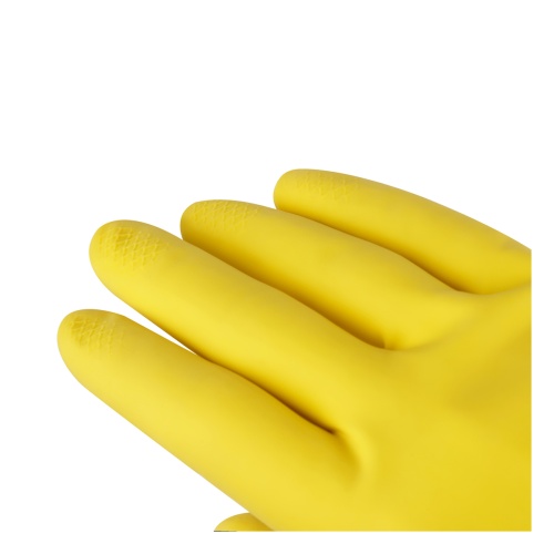 257669