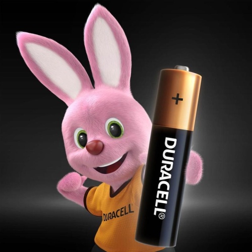 Батарейка AAA мизинчиковая Duracell Basic (LR03, 24А) (12 штук в упаковке)