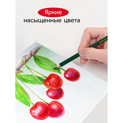 290122_18-290122_18059882_3