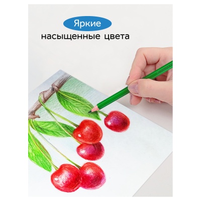 050918_04_04-050918_04_04059916_3