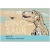 Альбом для рисования 40л., А4, на скрепке BG "Dinosaur"