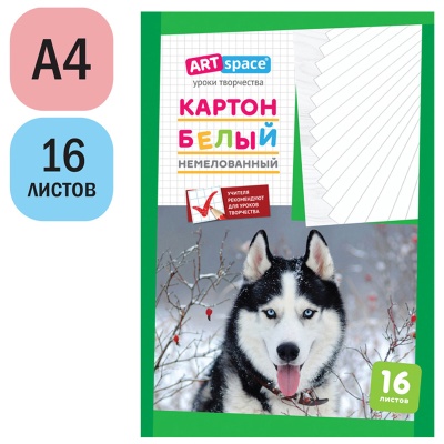 Нкн16б_6962___220683-00024999_2