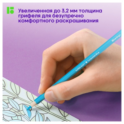 SS00172-SS00172059774_4