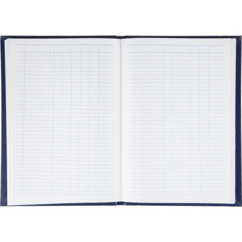 Книга учета 144 листа А4 пустографка на сшивке блок офсет (обложка - бумвинил) Книга учета 144 листа А4 пустографка на сшивке блок офсет (обложка - бумвинил)