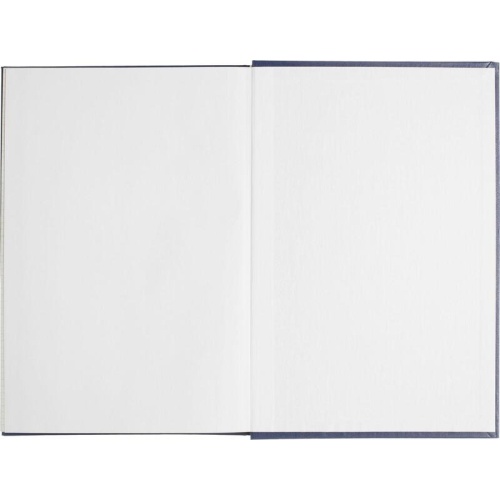 Книга учета 96 листов А4 в клетку блок типографская бумага Выбор есть (обложка из бумвинила)