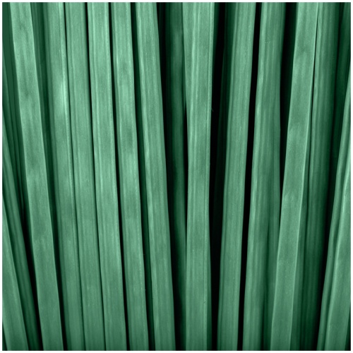 Метла Vega, для улицы, веерная, с деревянным черенком 120см 360671 360671