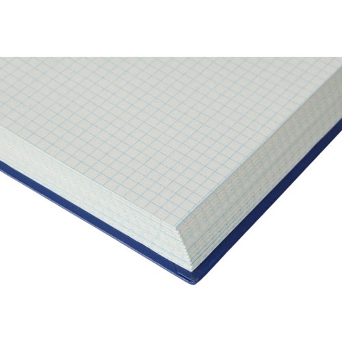 Книга учета 192 листа А4 в клетку блок типографская бумага Выбор есть (обложка из бумвинила)