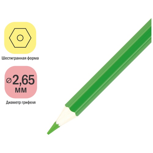 Карандаши цветные ArtSpace "Милые зверушки", 18цв., заточен., картон, европодвес