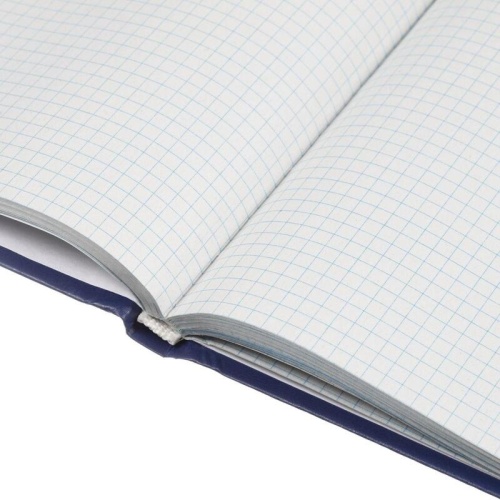 Книга учета 96 листов А4 в клетку блок типографская бумага Выбор есть (обложка из бумвинила)
