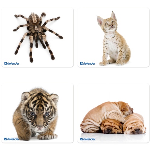 Коврик для мыши Defender 230*190*1,6мм, шелковый, ассорти 10 видов