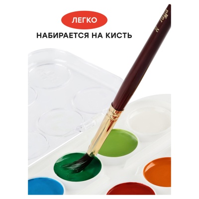 211046_12-00015034_4