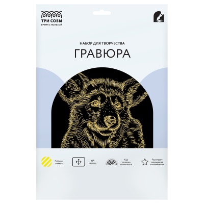 GA4_48269-GA4_48269069192_2