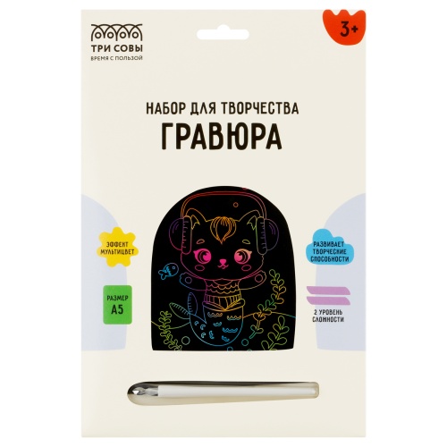 Гравюра с мультицветной основой ТРИ СОВЫ "Музыка", А5