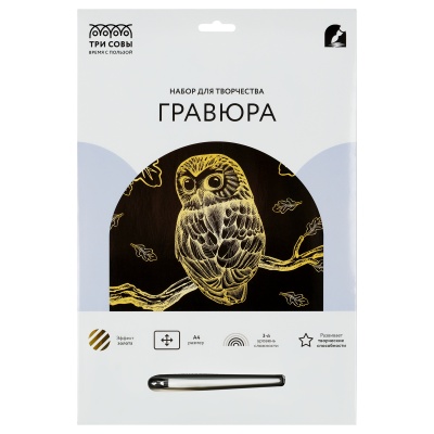 GA4_49919-GA4_49919069143_3