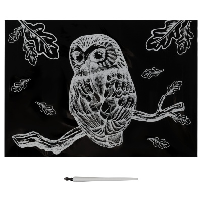 GA4_49919-GA4_49919069143_2