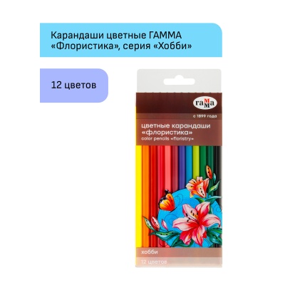 280620215-280620215059905_2