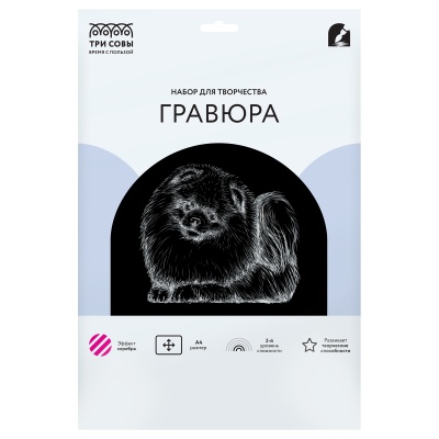 GA4_48279-GA4_48279069202_2