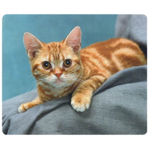 Коврик для мыши Defender 230*190*1,6мм, шелковый, ассорти 10 видов