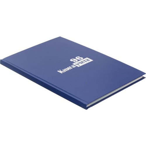 Книга учета 96 листов А4 в клетку блок типографская бумага Выбор есть (обложка из бумвинила)