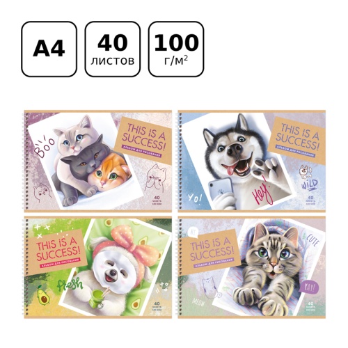 Альбом для рисования 40л., А4, на гребне BG "Лучший кадр"