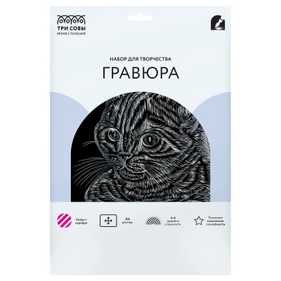 GA4_48278-GA4_48278069201_2