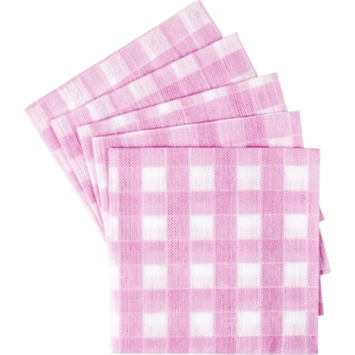 Салфетки хозяйственные повышенной впитываемости Paclan вискоза 35x35 см 50 г/кв.м 5 штук в упаковке 410121 410121