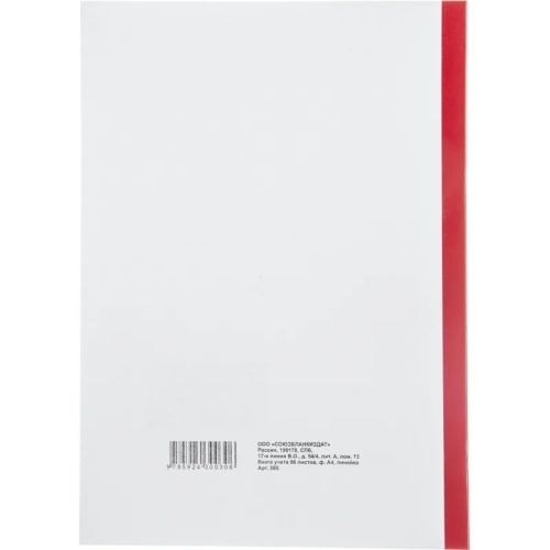 Книга учета 96 листов А4 в линейку на скрепке блок офсет (обложка - картон)