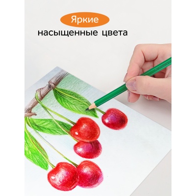 260220211-260220211059847_3