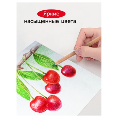 80220219-80220219059894_3