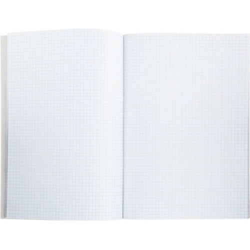 Книга учета 48 листов А4 в клетку на скрепке блок офсет Attache (обложка - картон) Книга учета 48 листов А4 в клетку на скрепке блок офсет Attache (обложка - картон)