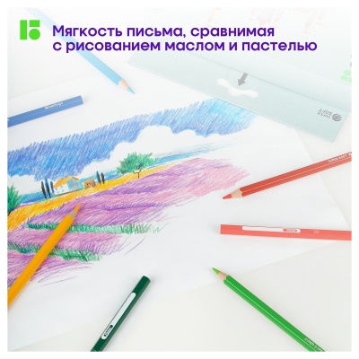 SS00172-SS00172059774_2