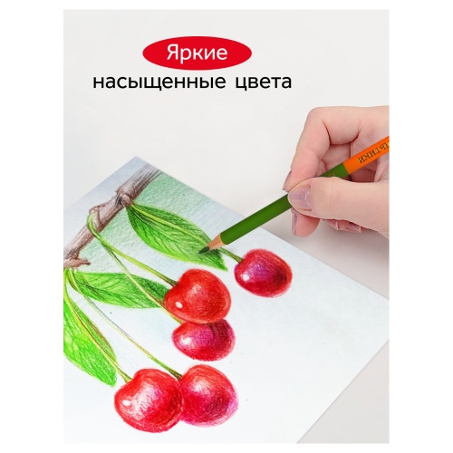 Карандаши цветные двусторонние Гамма "Мультики", 12шт., 24цв., заточен., картон, европодвес