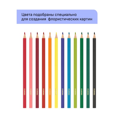 280620215-280620215059905_3