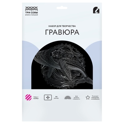 GA4_48285-GA4_48285069208_2