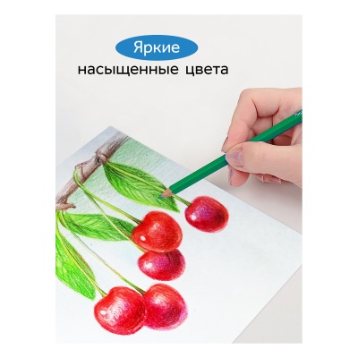 050918_03_03-050918_03_03059939_3