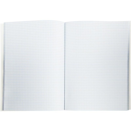Книга учета 96 листов А4 в клетку на скрепке блок офсет (обложка - картон)