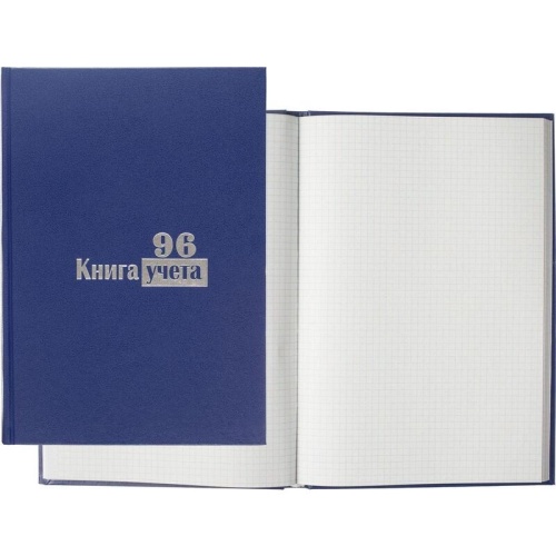 Книга учета 96 листов А4 в клетку блок типографская бумага Выбор есть (обложка из бумвинила)