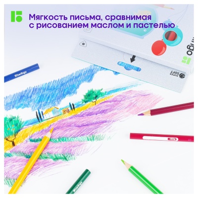 SS00524-SS00524059776_2