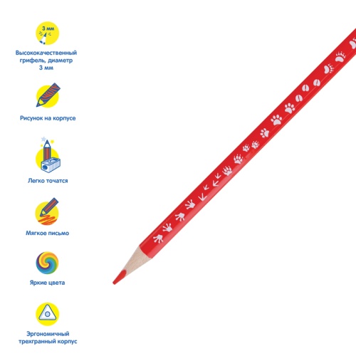 Карандаши цветные Мульти-Пульти "Енот-следопыт", 24цв., трехгр.,рисунок на корпусе, заточен., картон Карандаши цветные Мульти-Пульти "Енот-следопыт", 24цв., трехгр.,рисунок на корпусе, заточен., картон