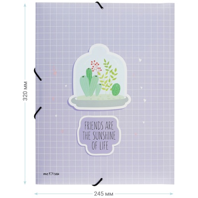 MS_39559-MS_39559061963_3